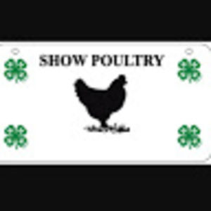 Meet your Posher, Noah